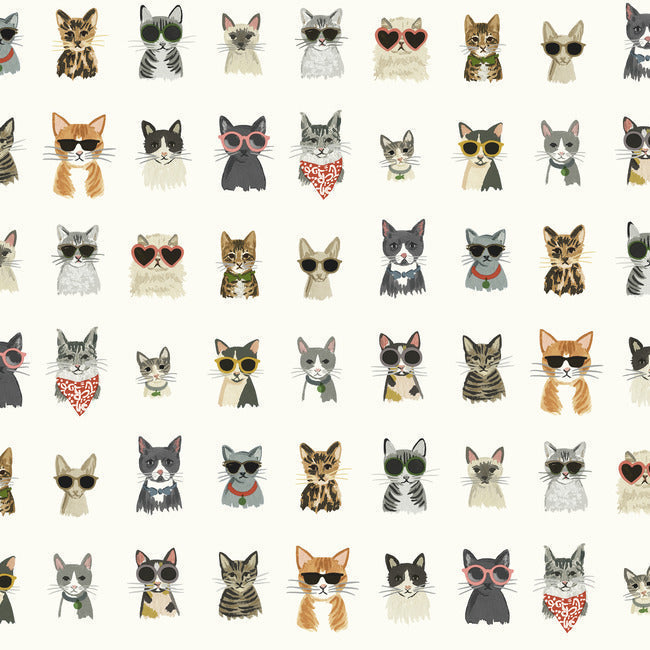 cool-cats-premium-peel-stick-wallpaper-multi-white-york-wallcoverings-psw1463rl