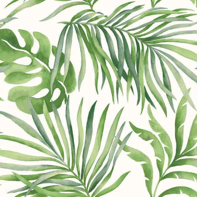 Paradise Palm Green Peel & Stick Wallpaper - York Wallcoverings - PSW1412RL