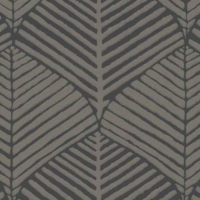 Universal Nature Shadow Wallpaper - York Wallcoverings - RRD7662N