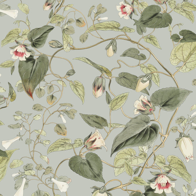 moon-flower-wallpaper-dove-york-wallcoverings-bl1712