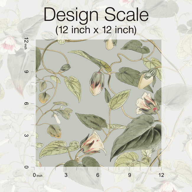 moon-flower-wallpaper-dove-york-wallcoverings-bl1712