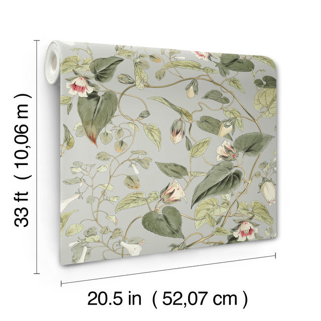 moon-flower-wallpaper-dove-york-wallcoverings-bl1712