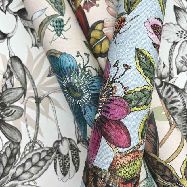 Rainforest Multicolor Wallpaper - York Wallcoverings - BL1701 - York Wallcoverings Wallpaper