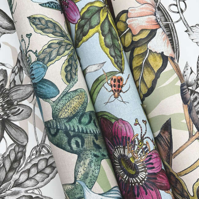 rainforest-multicolor-wallpaper-york-wallcoverings-bl1701 - York Wallcoverings Wallpaper