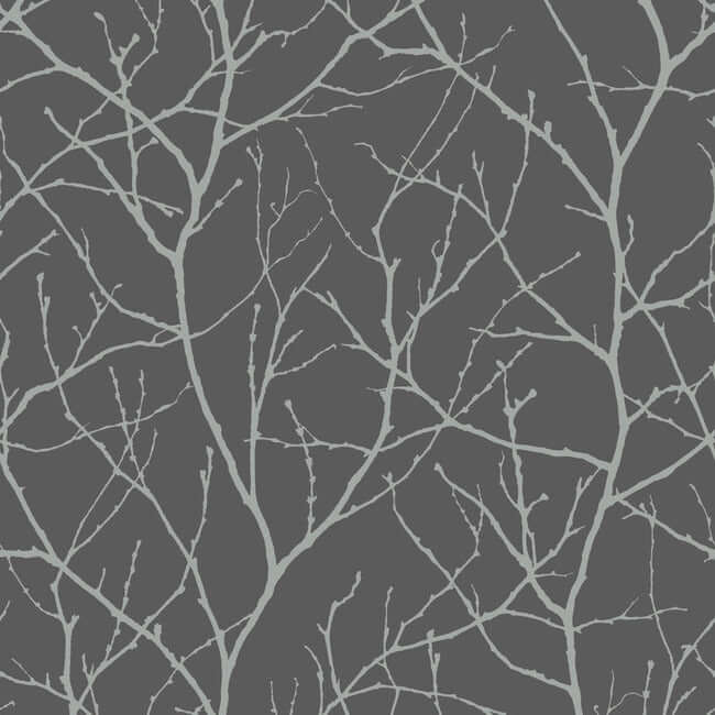 trees-silhouette-charcoal-silver-wallpaper-york-wallcoverings-md7125 - York Wallcoverings Wallpaper