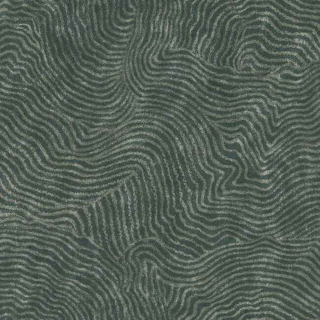 Modern Wood Forest Wallpaper - York Wallcoverings - OI0711
