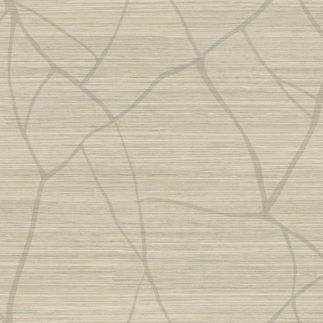 nikki-chu-raska-wallpaper-camel-york-wallcoverings-ag2085