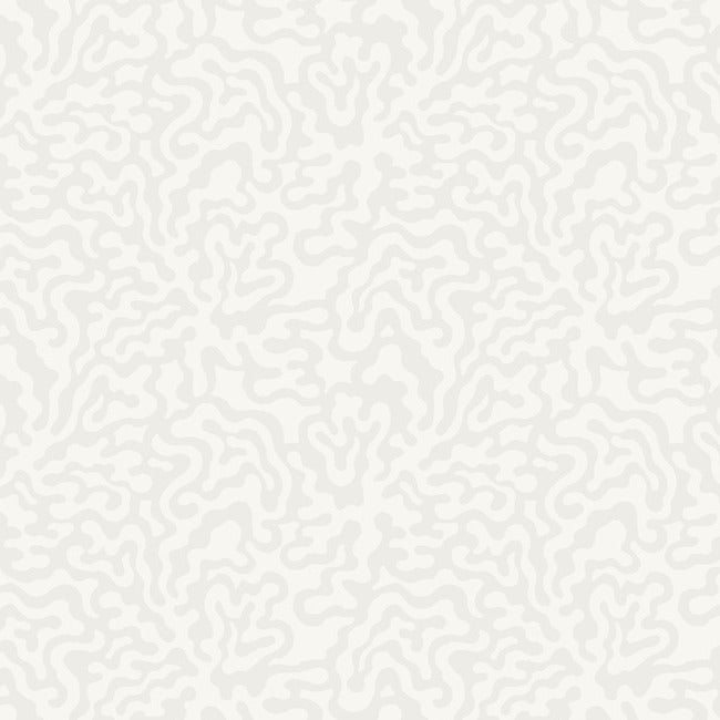nebulous-cloud-wallpaper-dove-grey-york-wallcoverings-ag2024