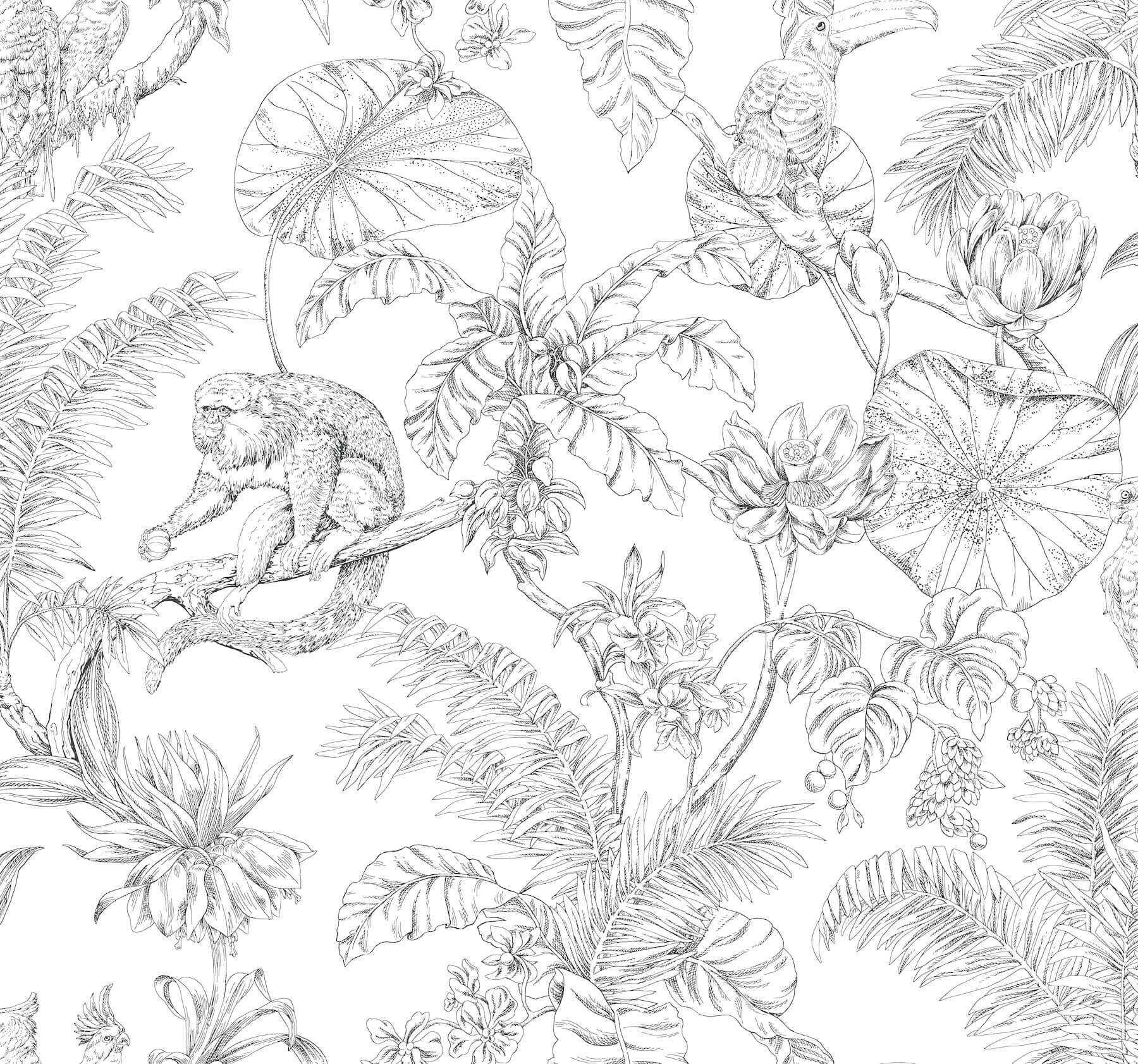 Tropical Sketch Toile Black Wallpaper - York Wallcoverings - RT7841