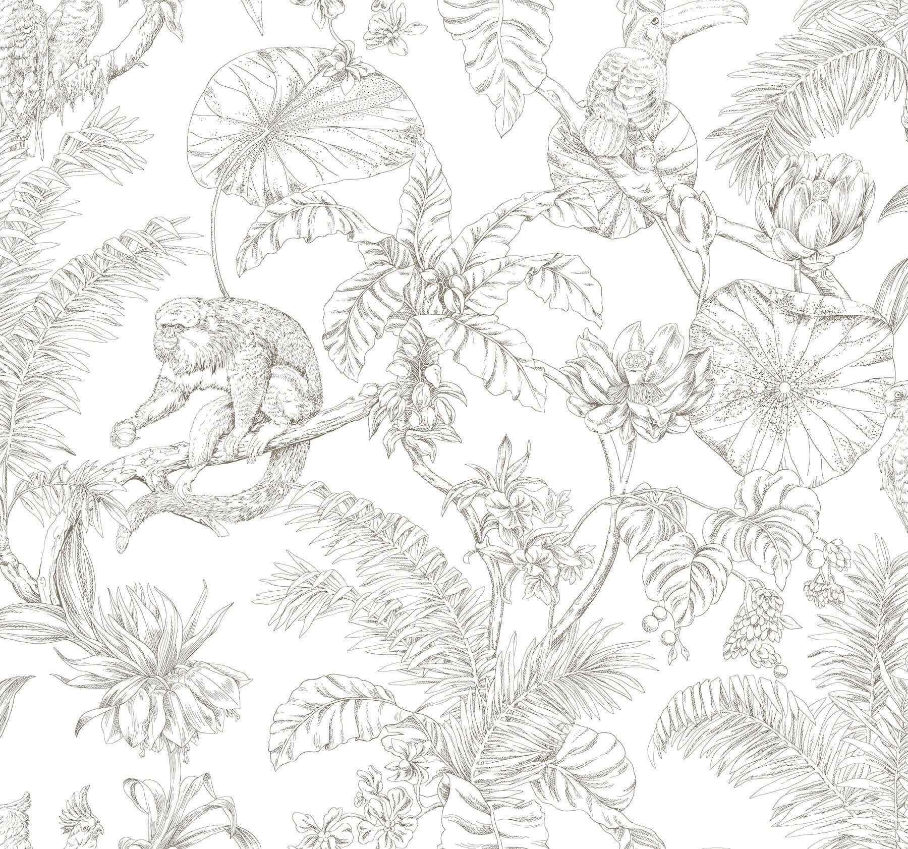 Tropical Sketch Toile Brown Wallpaper - York Wallcoverings - RT7843