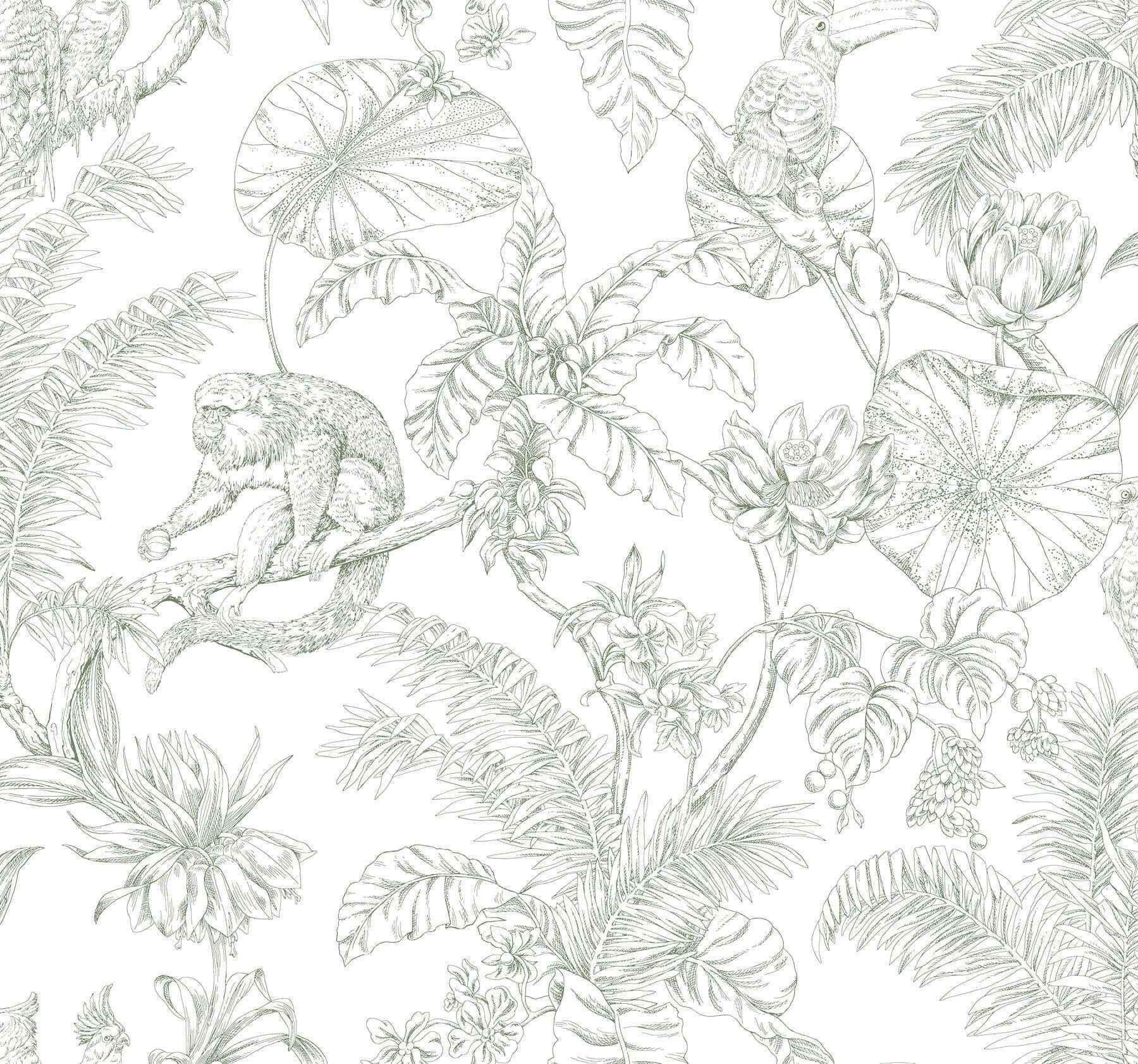 Tropical Sketch Toile Forest Wallpaper - York Wallcoverings - RT7842