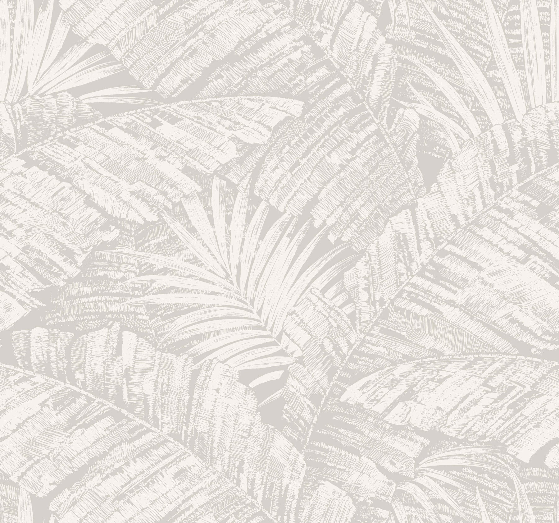 palm-cove-toile-wallpaper-white-grey-york-wallcoverings-rt7922
