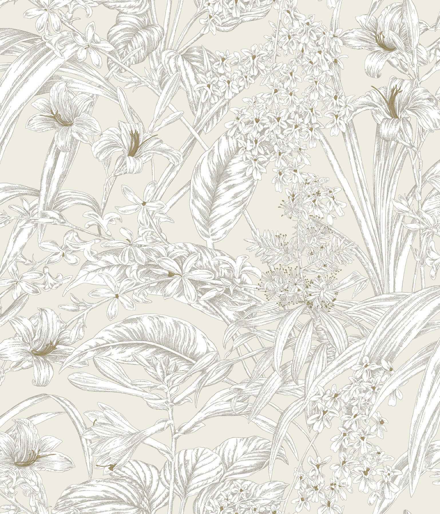 Orchid Conservatory Toile Beige & Taupe Wallpaper - York Wallcoverings - RT7883