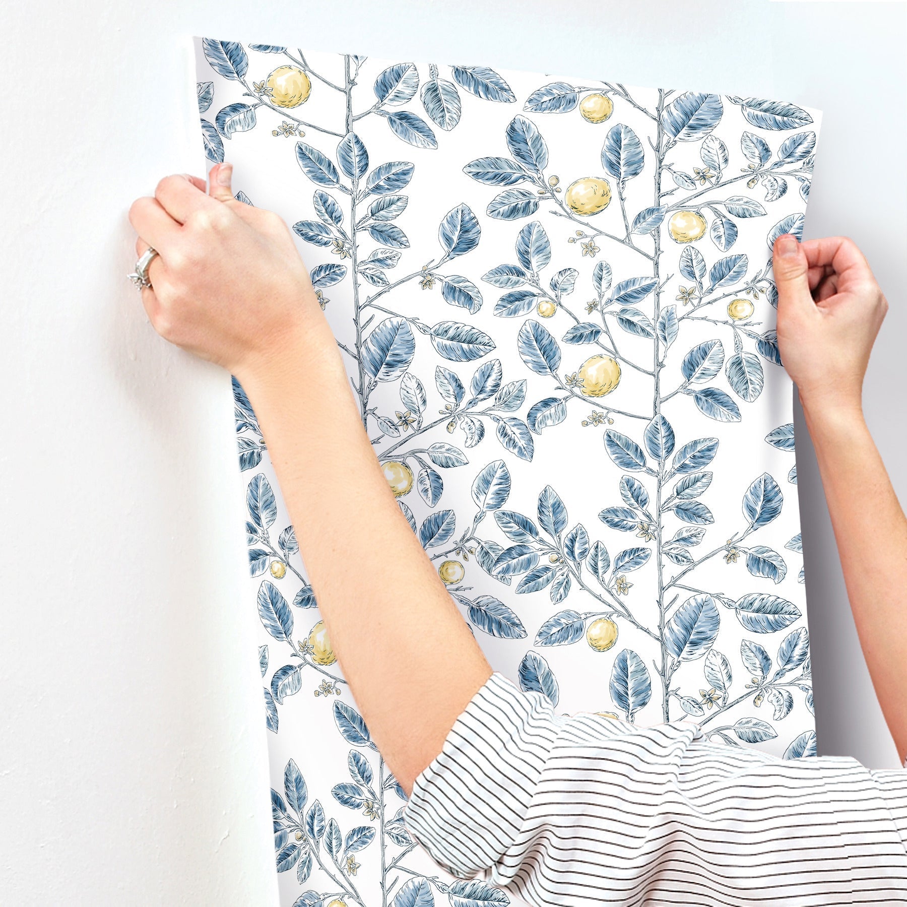 limoncello-toile-wallpaper-blue-york-wallcoverings-rt7913