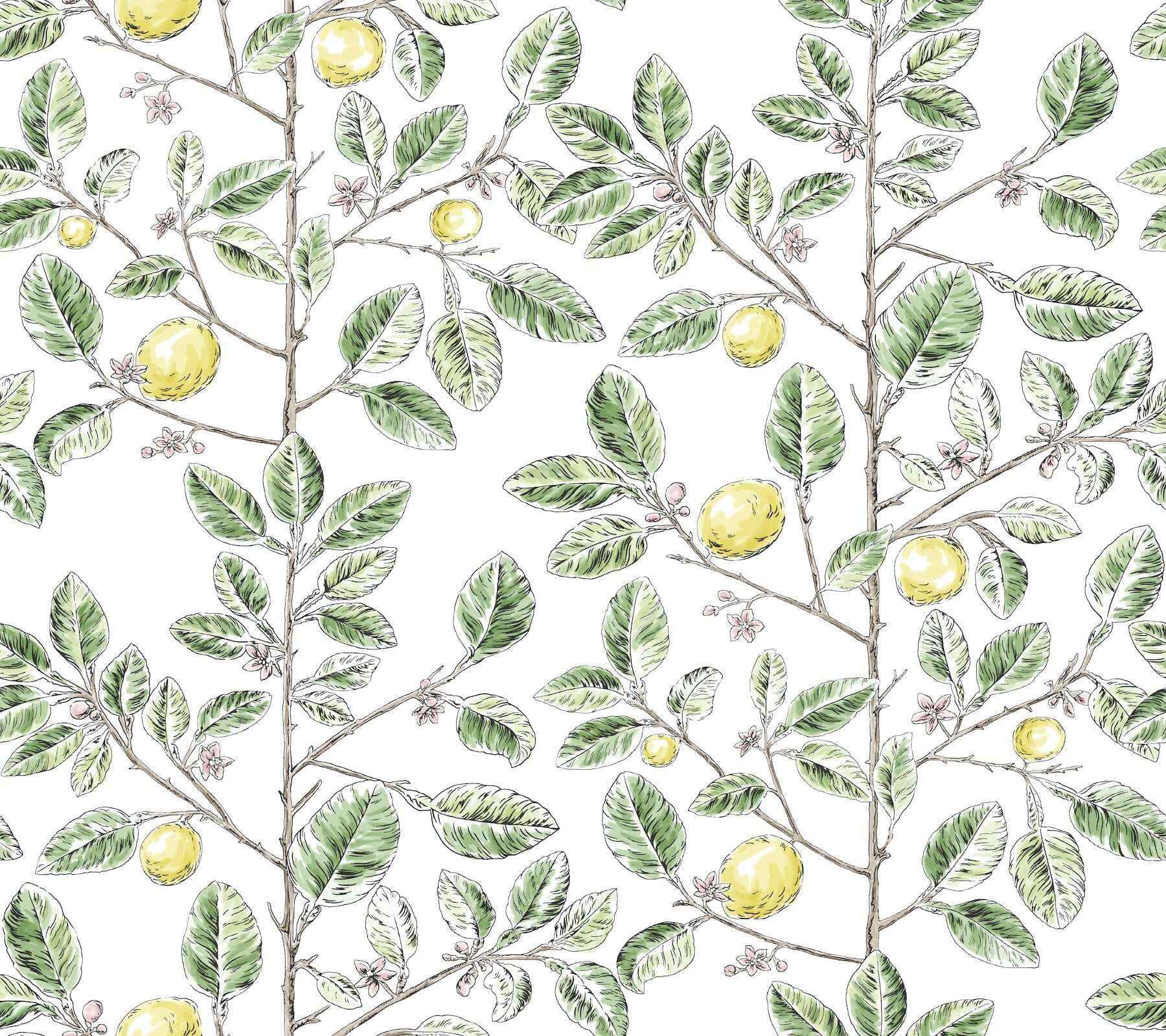 Limoncello Toile Green Wallpaper - York Wallcoverings - RT7911