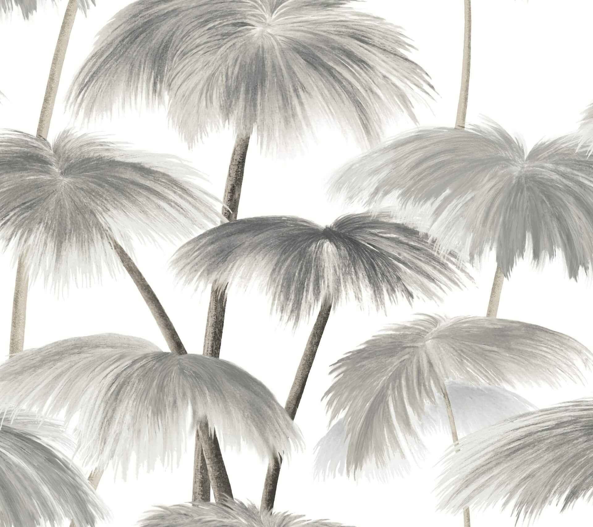 Plein Air Palms Black & White Wallpaper - York Wallcoverings - LM5432