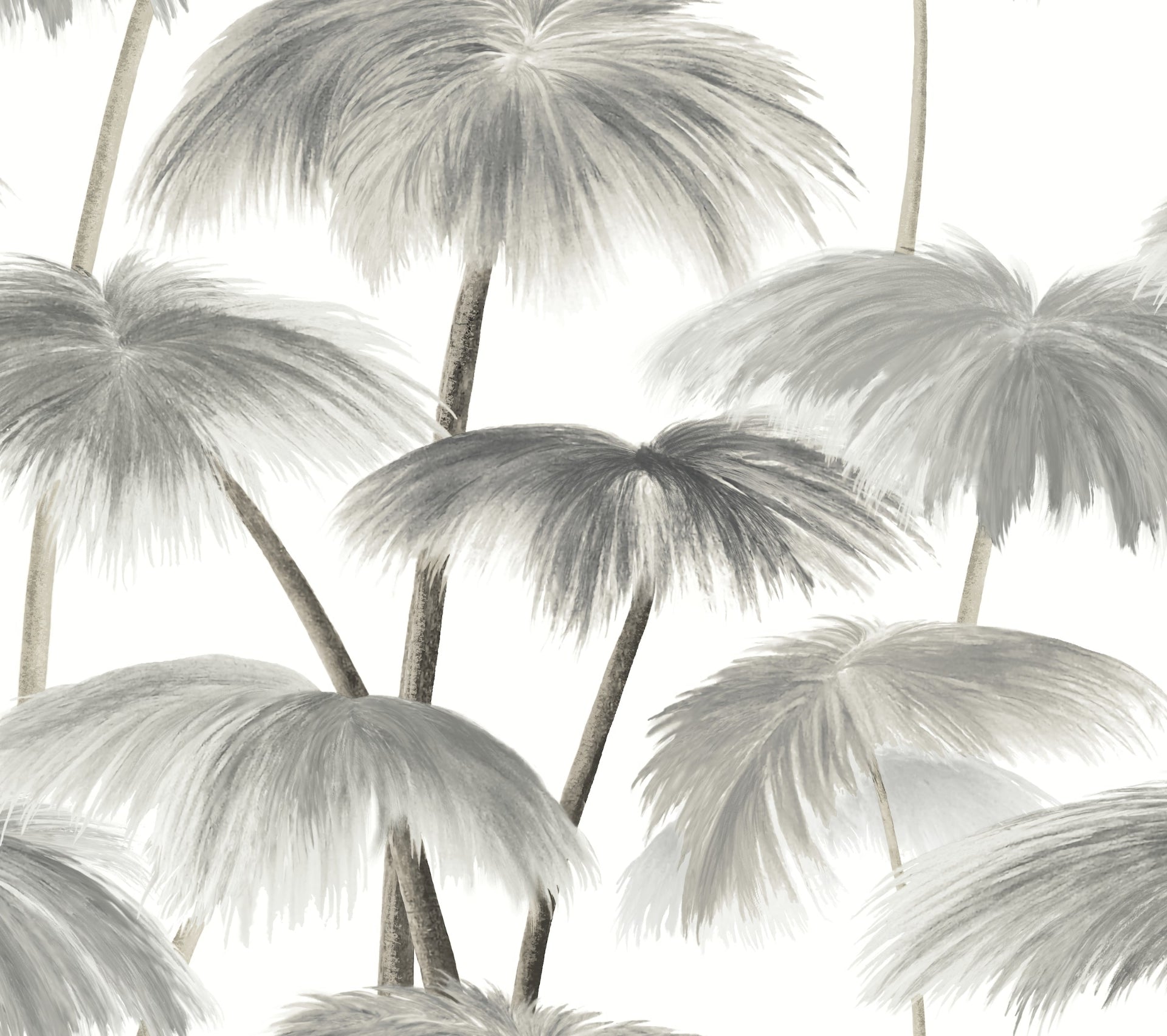 plein-air-palms-wallpaper-black-white-york-wallcoverings-lm5432