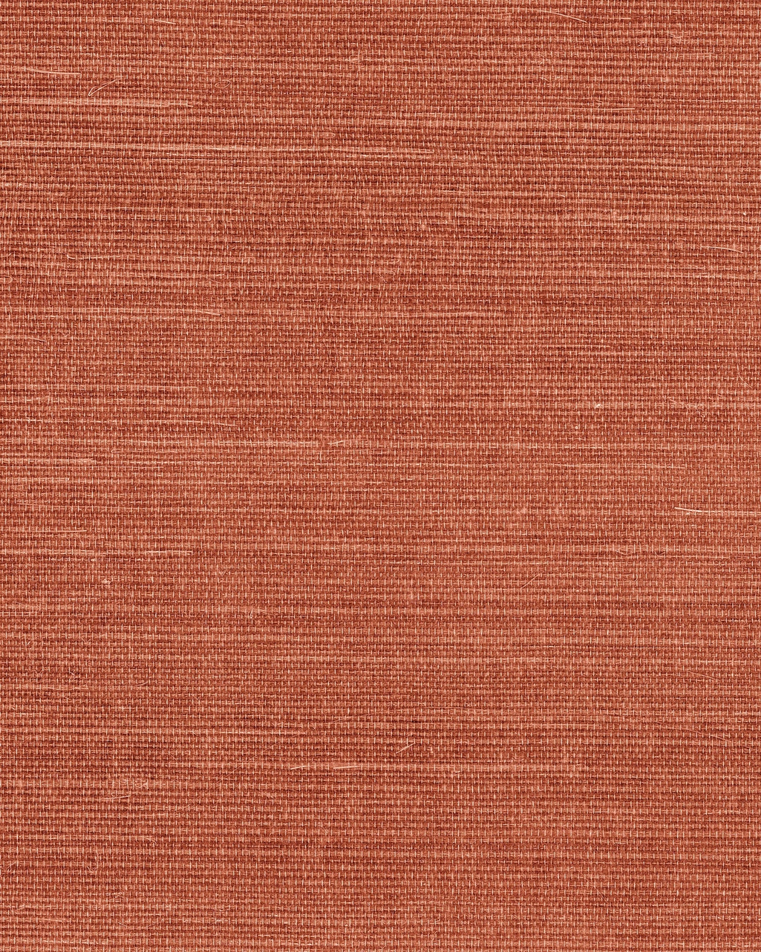 maguey-rose-sisal-wallpaper-rose-york-wallcoverings-gv0139nw