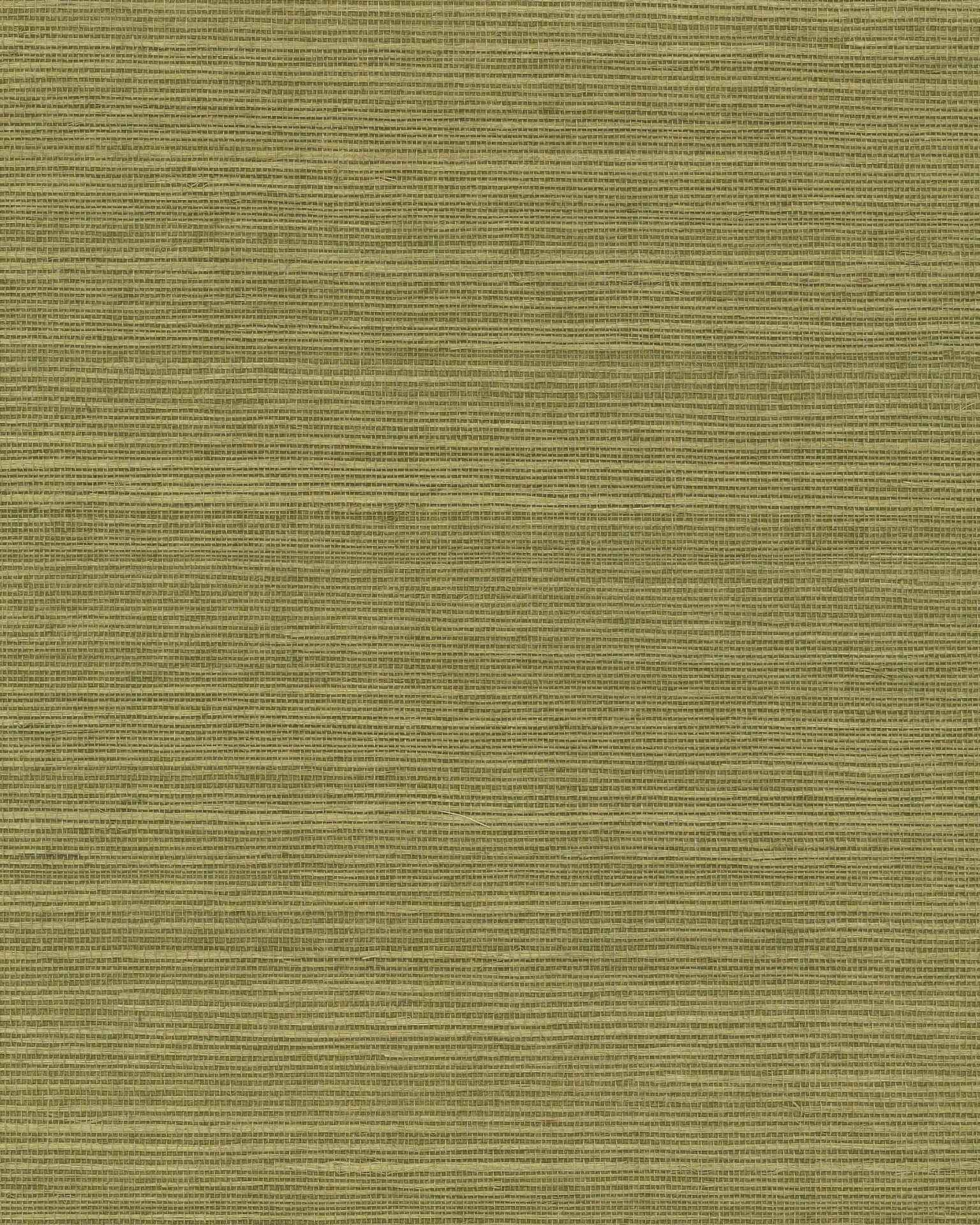 Maguey Sisal Fern Wallpaper - York Wallcoverings - GV0145NW - York Wallcoverings Wallpaper