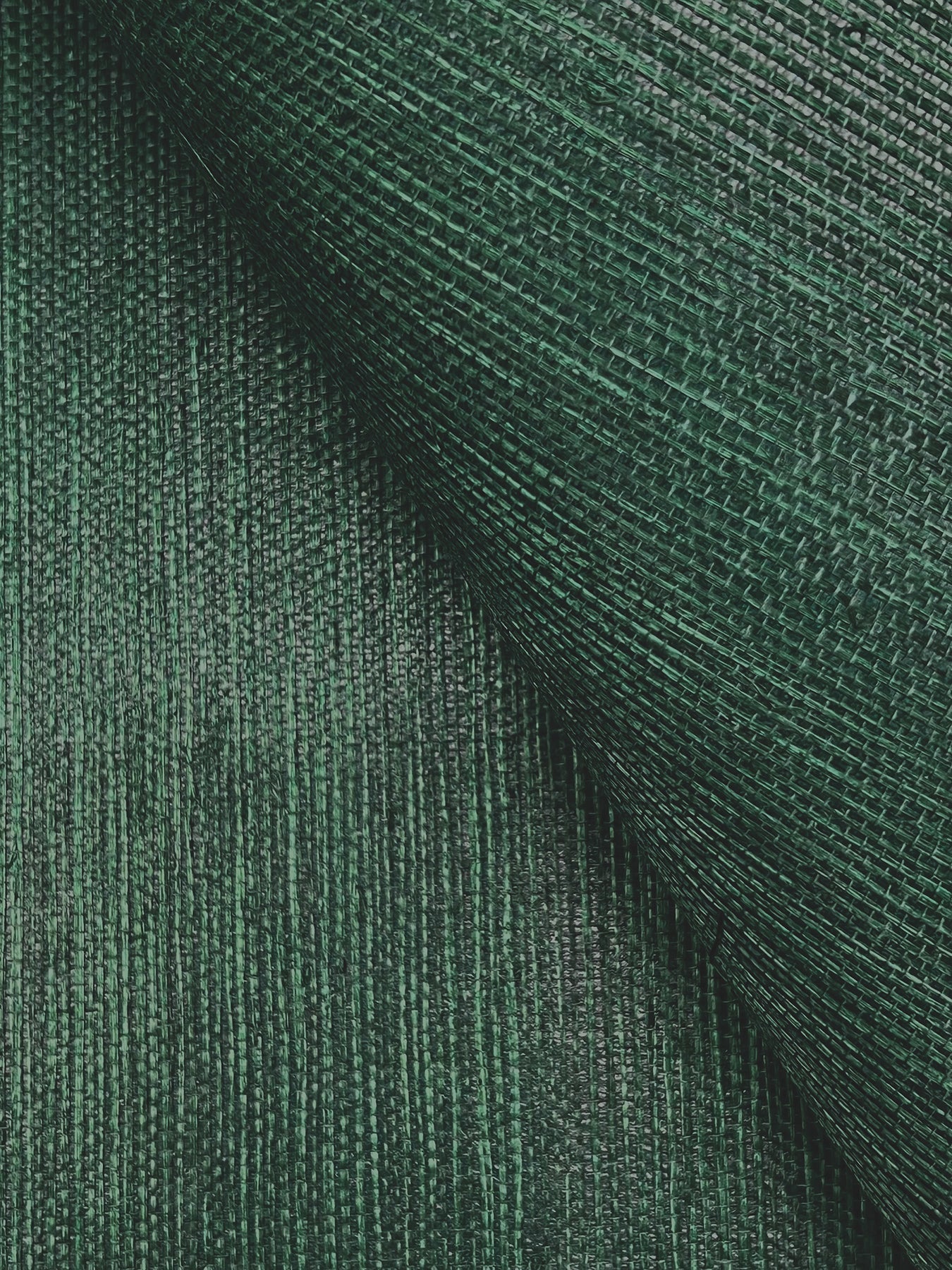 maguey-forest-sisal-wallpaper-forest-york-wallcoverings-gv0148nw