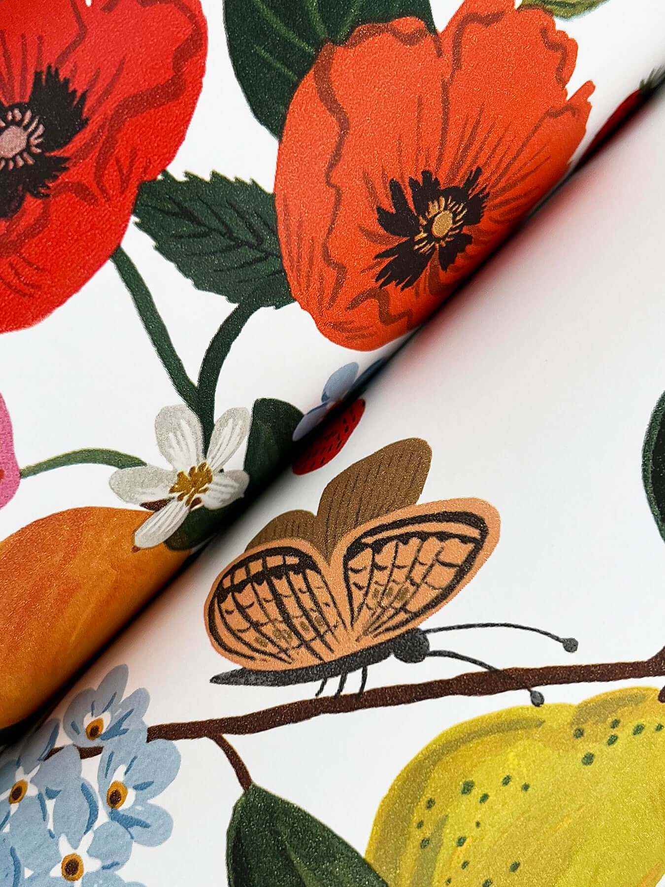 Flower Studies Bright Wallpaper - York Wallcoverings - RF7402 - York Wallcoverings Wallpaper