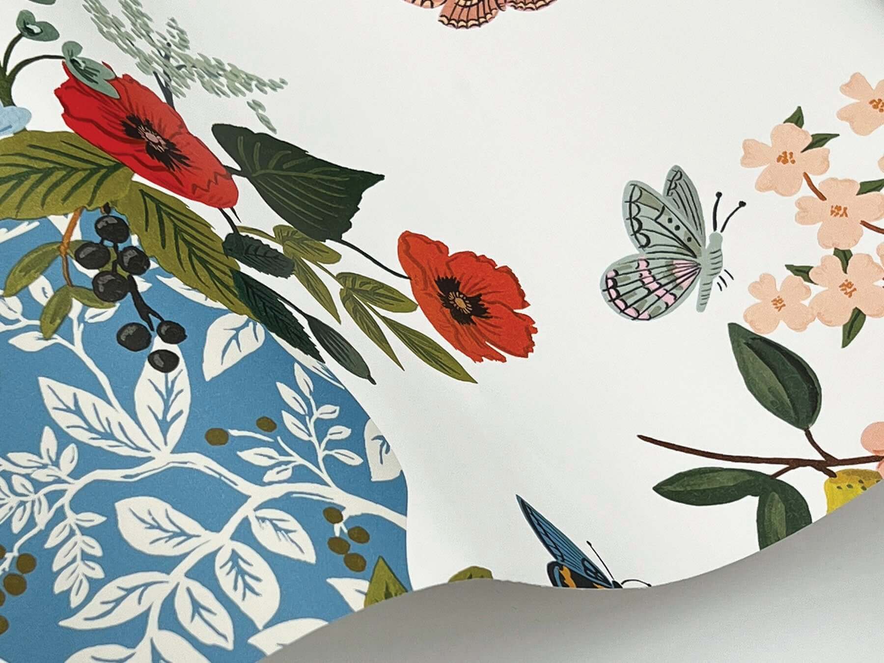 flower-studies-wallpaper-bright-multi-york-wallcoverings-rf7402 - York Wallcoverings Wallpaper