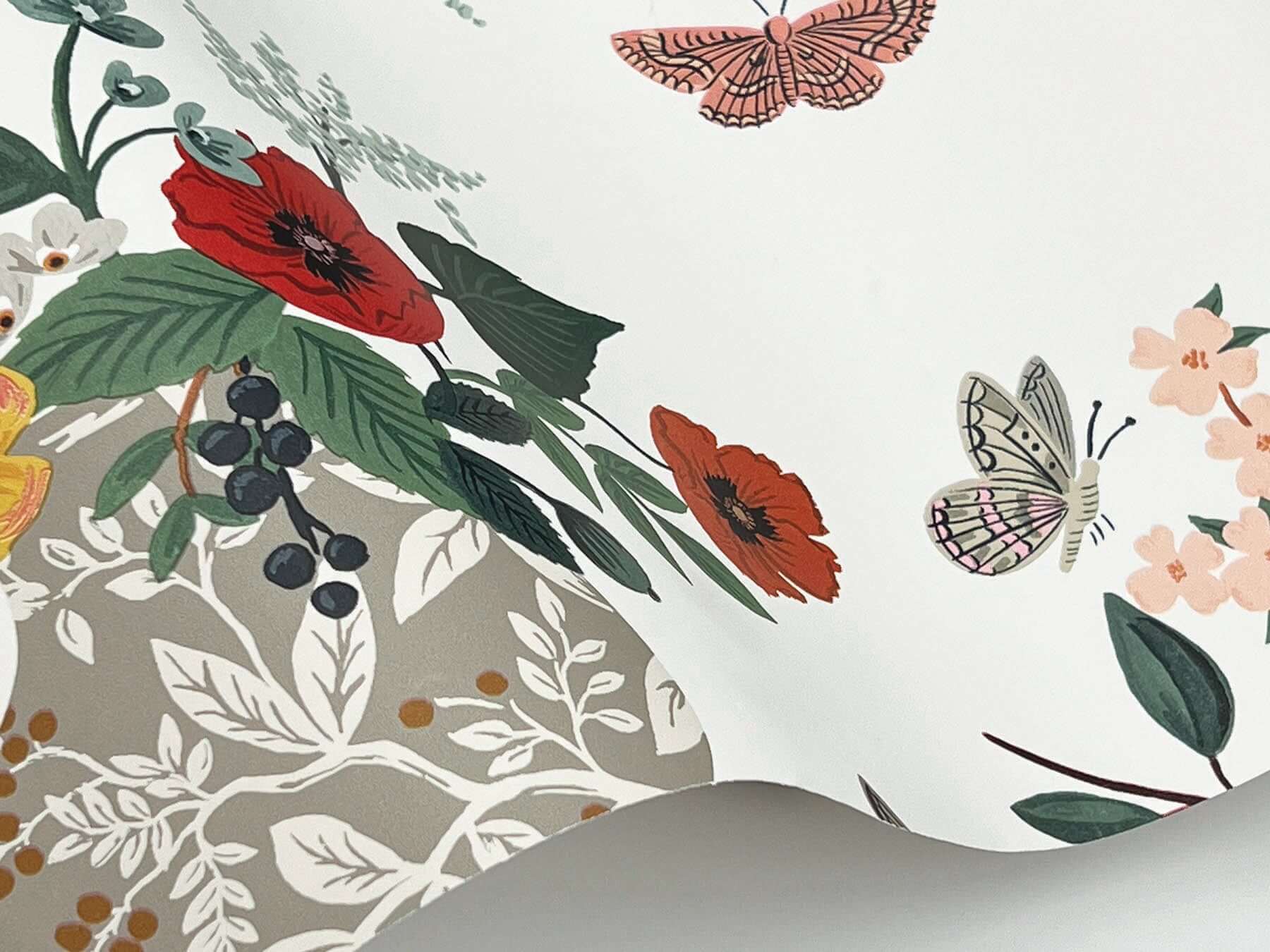 flower-studies-wallpaper-rose-multi-york-wallcoverings-rf7404 - York Wallcoverings Wallpaper