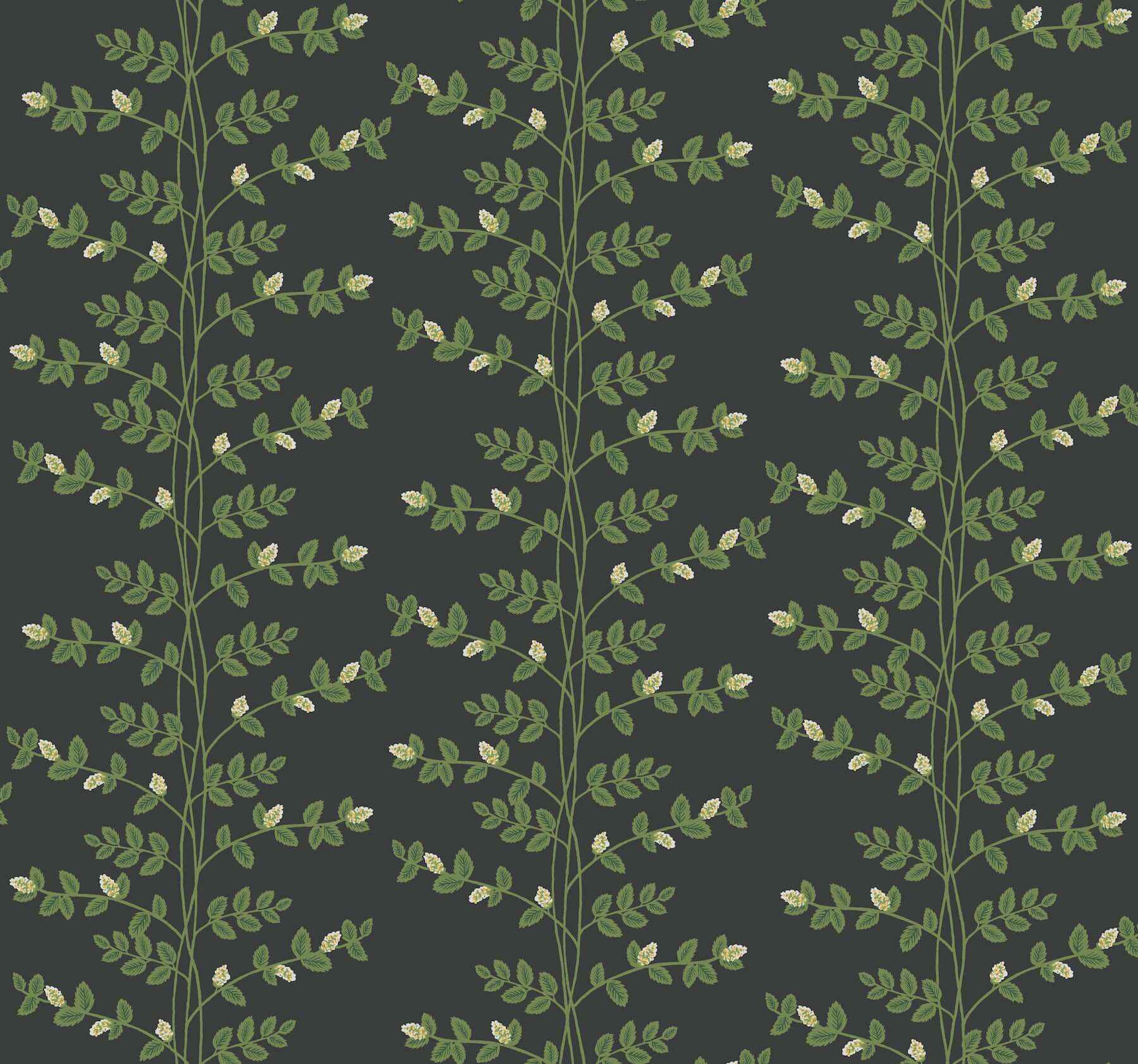 Climbing Vine Black Wallpaper - York Wallcoverings - RF7422 - York Wallcoverings Wallpaper