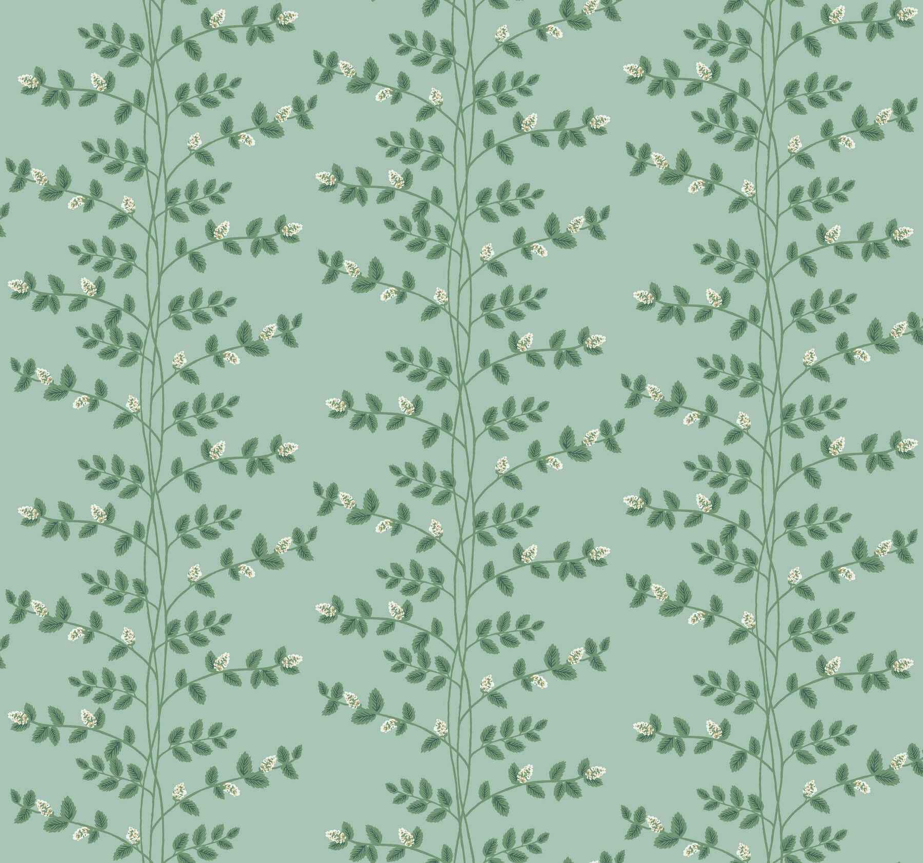 Climbing Vine Soft Teal Wallpaper - York Wallcoverings - RF7421