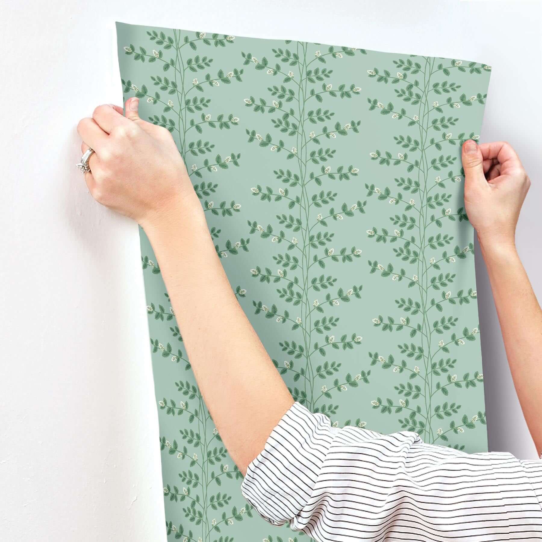 climbing-vine-wallpaper-soft-teal-york-wallcoverings-rf7421 - York Wallcoverings Wallpaper