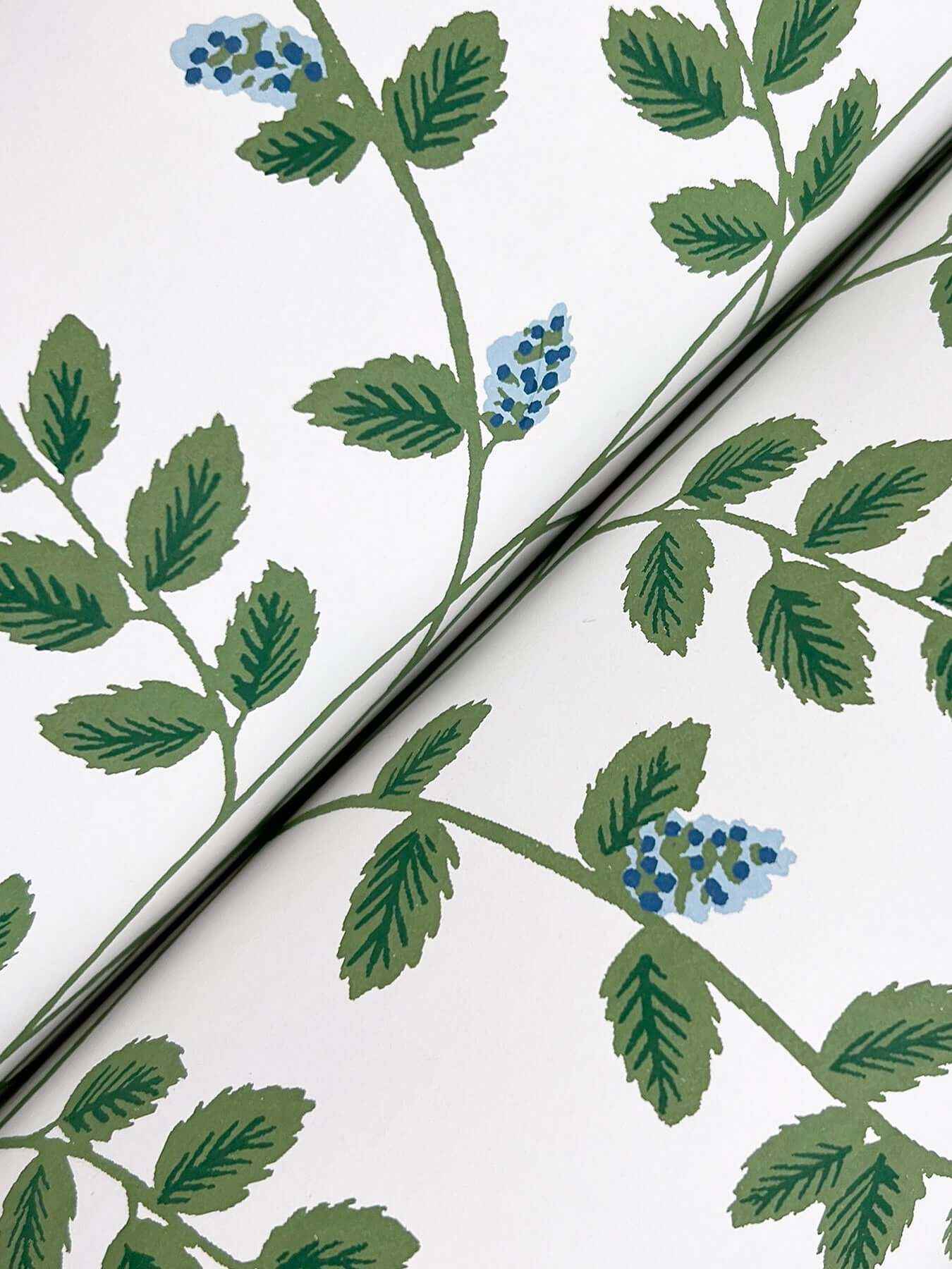 Climbing Vine Blue Wallpaper - York Wallcoverings - RF7425 - York Wallcoverings Wallpaper