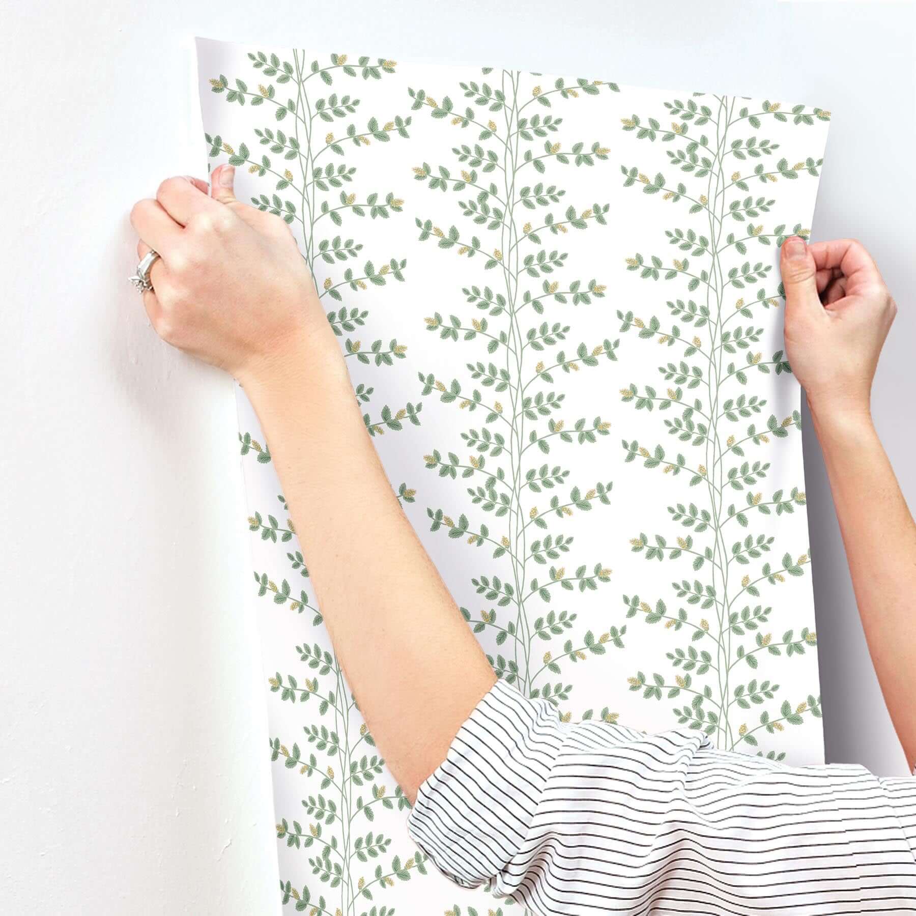 climbing-vine-wallpaper-white-gold-york-wallcoverings-rf7424 - York Wallcoverings Wallpaper