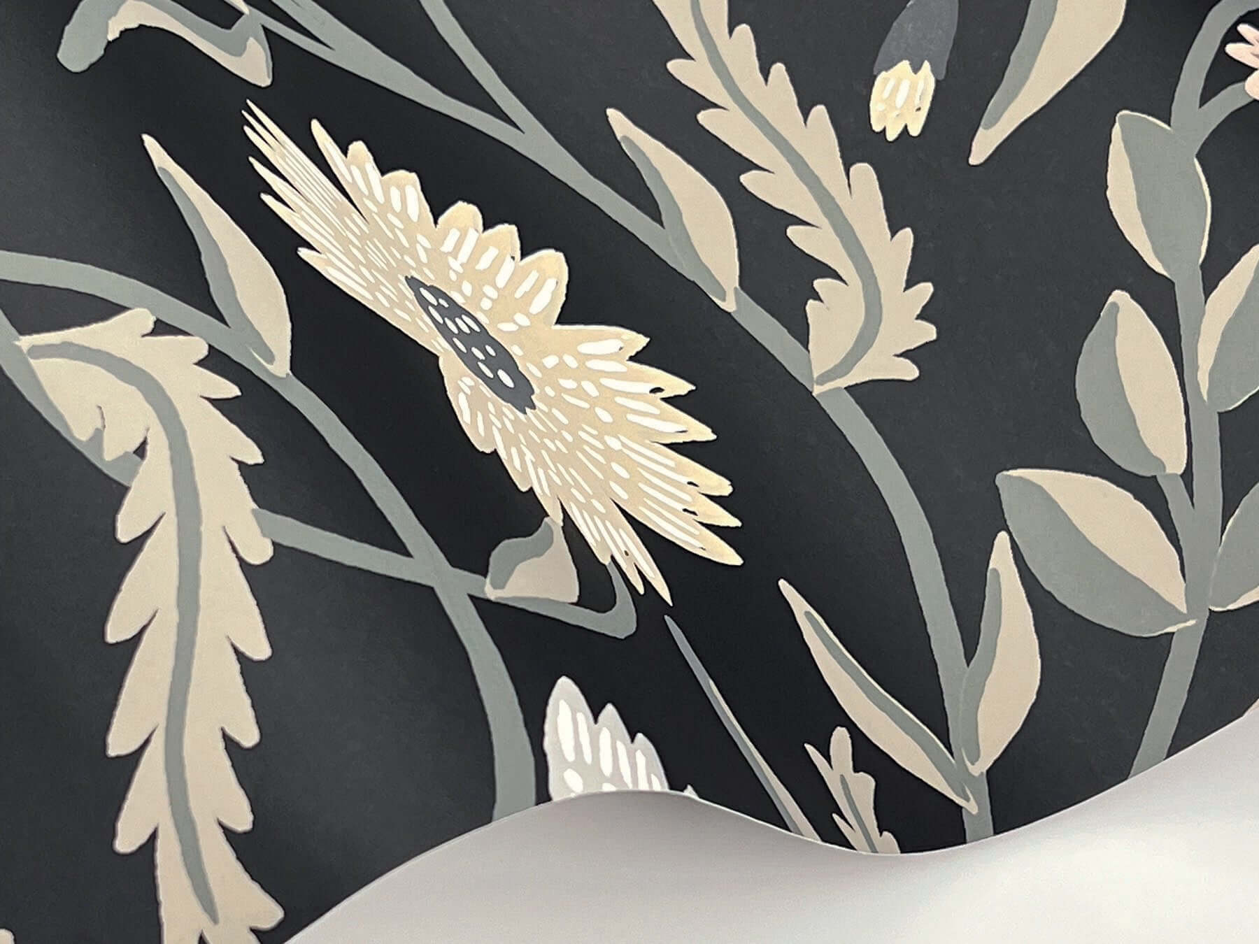 aster-wallpaper-black-york-wallcoverings-rf7434 - York Wallcoverings Wallpaper