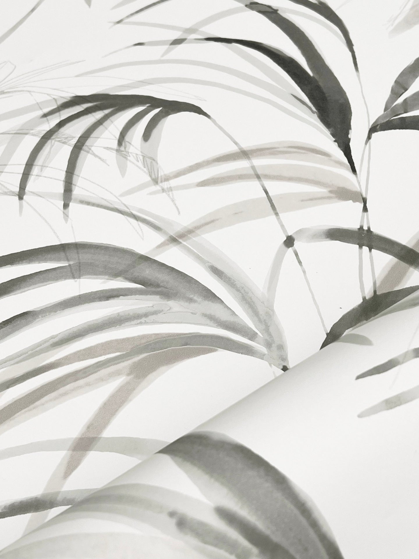 inky-palms-wallpaper-black-york-wallcoverings-nt6123