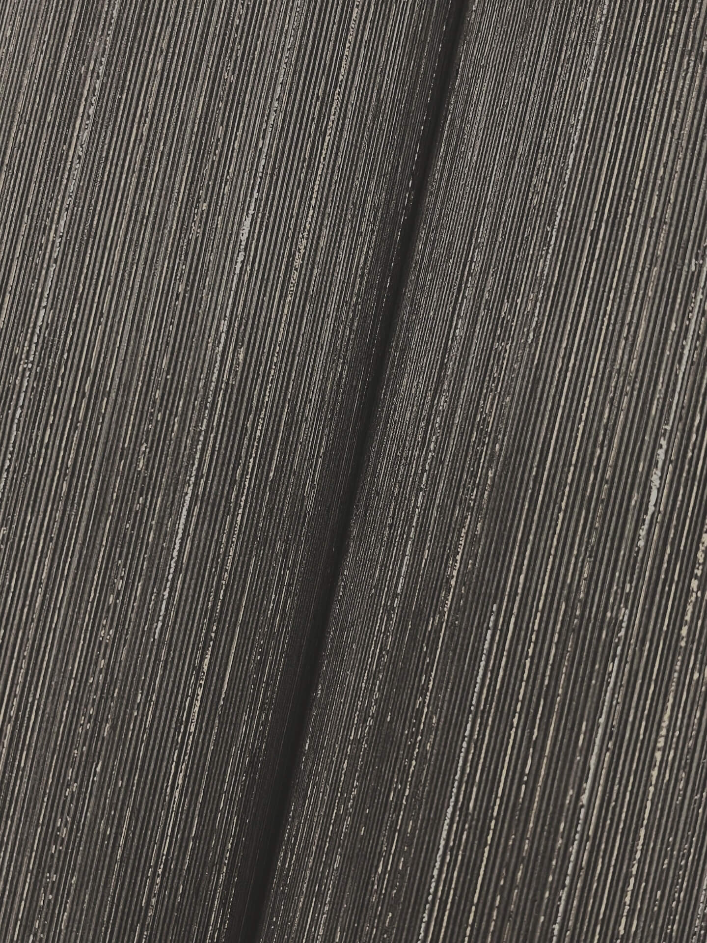 quiet-vista-wallpaper-ebony-york-wallcoverings-nt6203n - York Wallcoverings Wallpaper