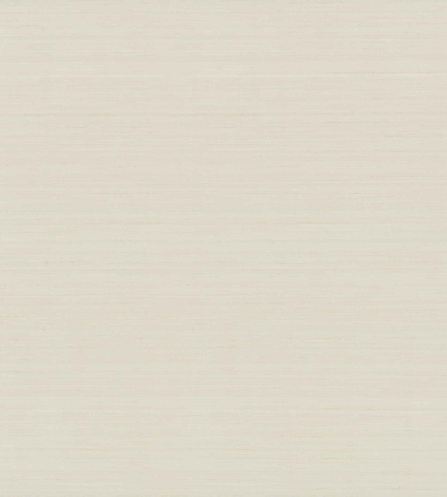 Quiet Vista Shell Wallpaper - York Wallcoverings - NT6206N - York Wallcoverings Wallpaper