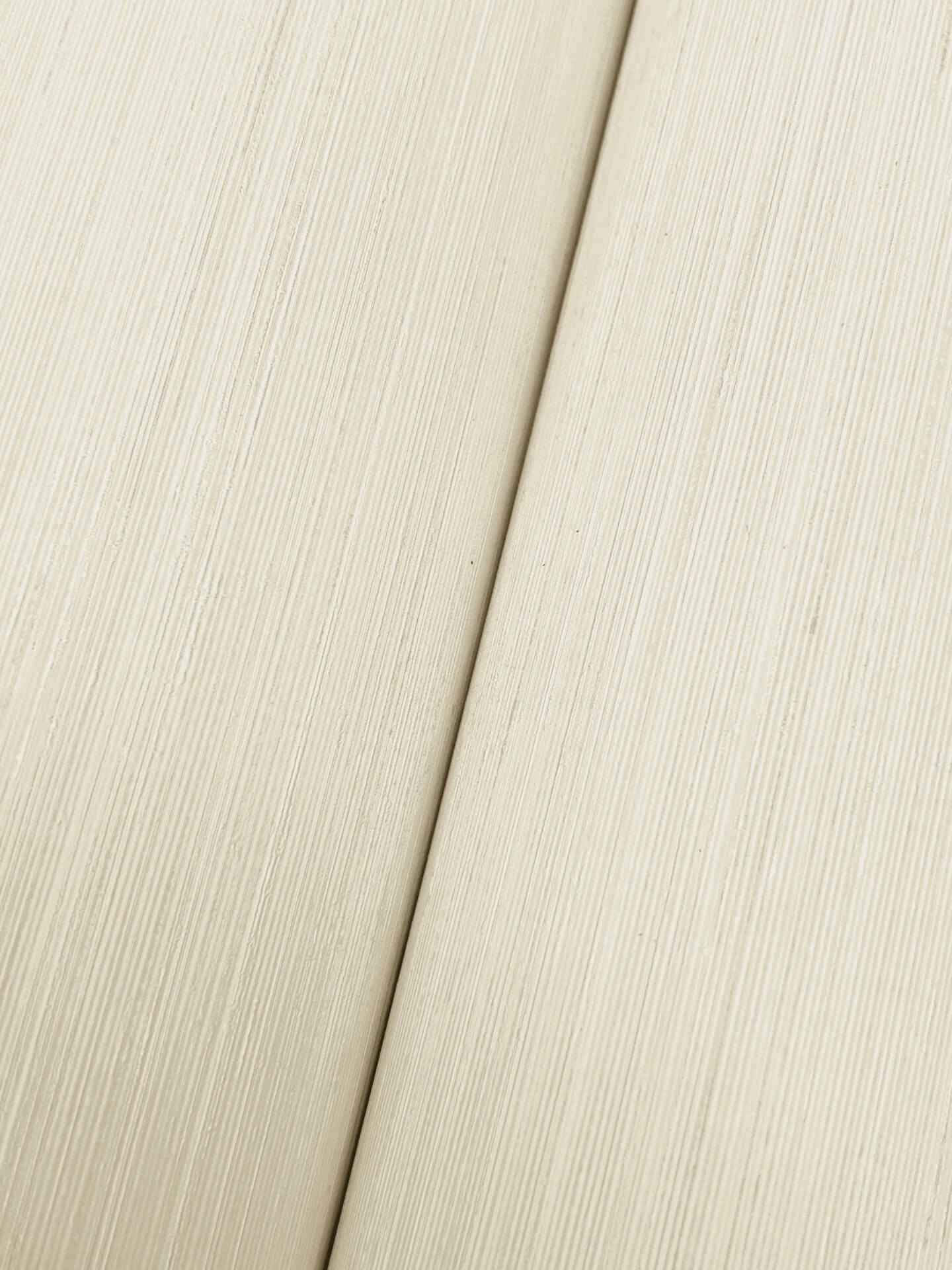Quiet Vista Shell Wallpaper - York Wallcoverings - NT6206N - York Wallcoverings Wallpaper