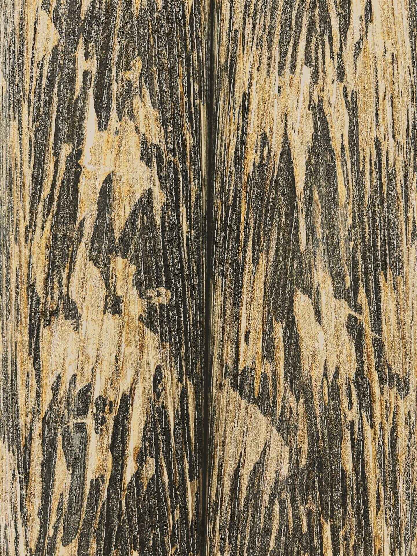 Gilded Plume Black Wallpaper - York Wallcoverings - FM1004 - York Wallcoverings Wallpaper