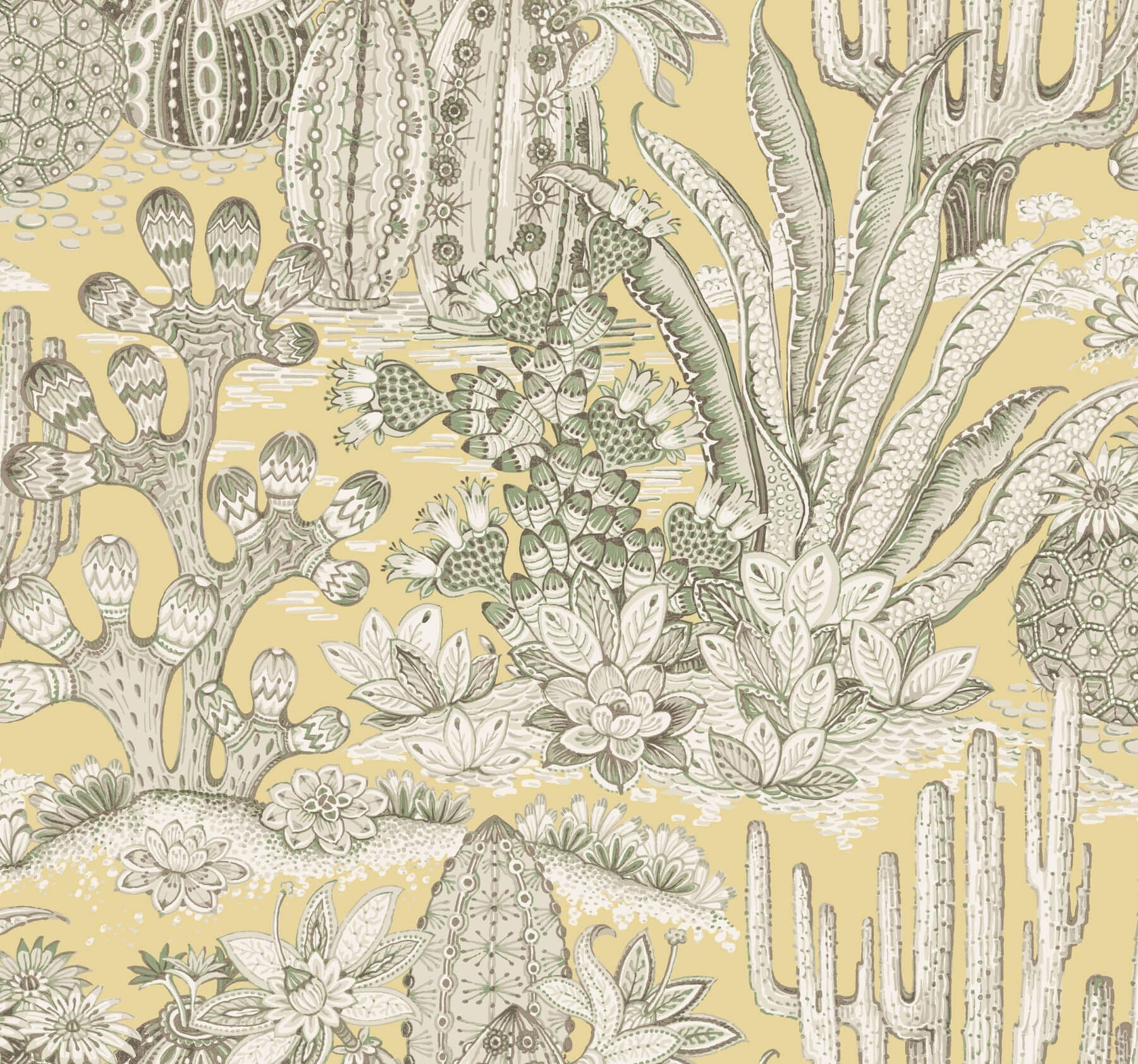 lotus-land-cacti-sunshine-wallpaper-york-wallcoverings-mt5635 - York Wallcoverings Wallpaper