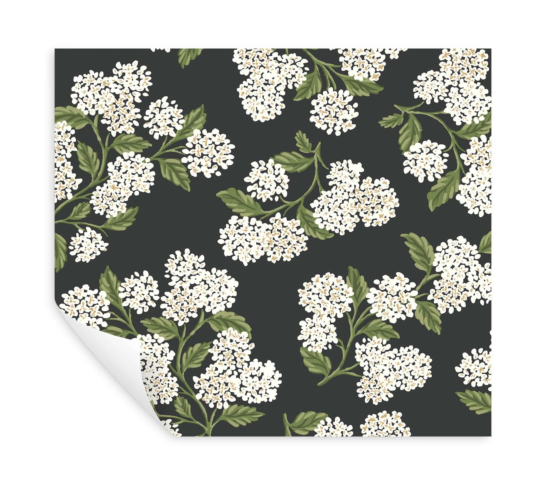 hydrangea-black-white-peel-stick-wallpaper-york-wallcoverings-psw1618rl - York Wallcoverings Wallpaper