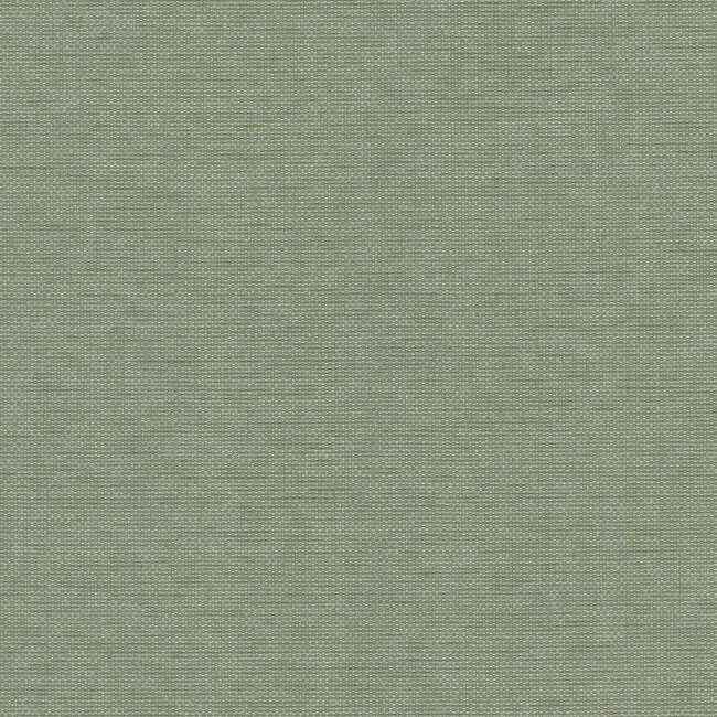 Hint Willow York High Performance Textile Wallcovering - York Wallcoverings - 203-19