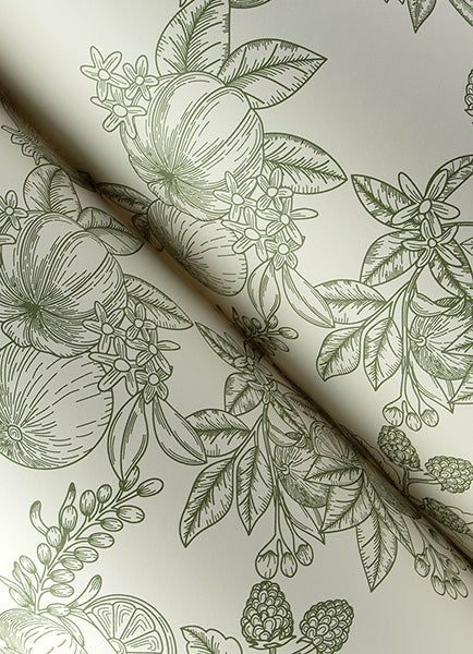 gerty-green-fruit-toile-wallpaper-york-wallcoverings-4173-27636