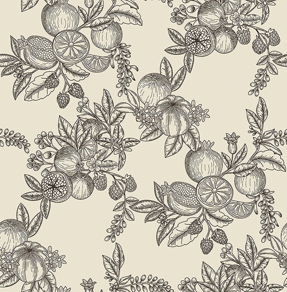 gerty-black-fruit-toile-wallpaper-york-wallcoverings-4173-27637