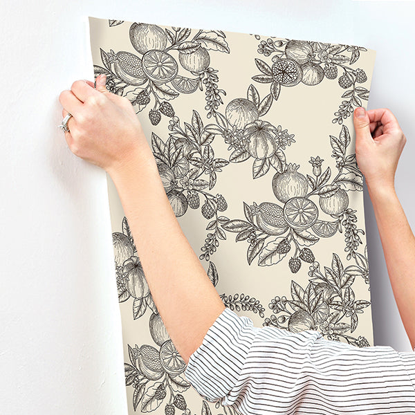 gerty-black-fruit-toile-wallpaper-york-wallcoverings-4173-27637