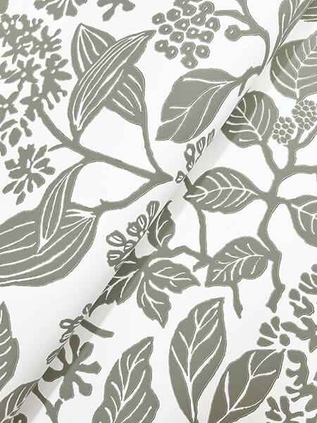 Rowen Olive Botanical Wallpaper - York Wallcoverings - VP1343 - York Wallcoverings Wallpaper