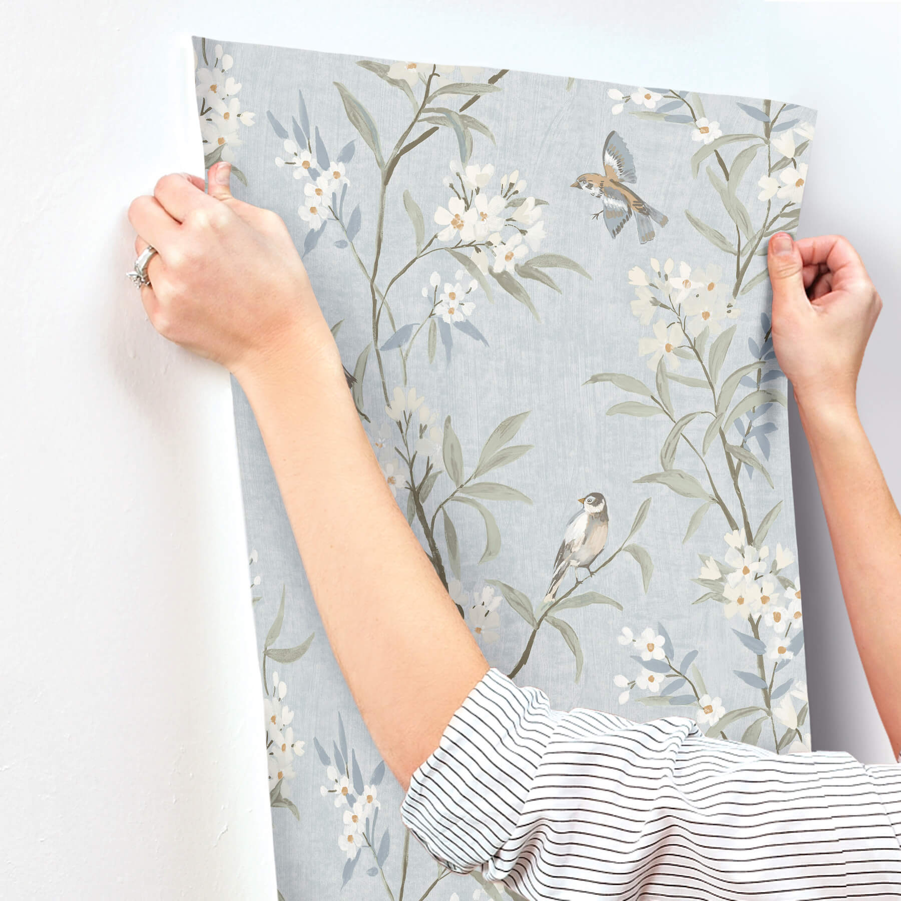 tea-olive-light-blue-finch-frolic-wallpaper-york-wallcoverings-4169-83140 - York Wallcoverings Wallpaper