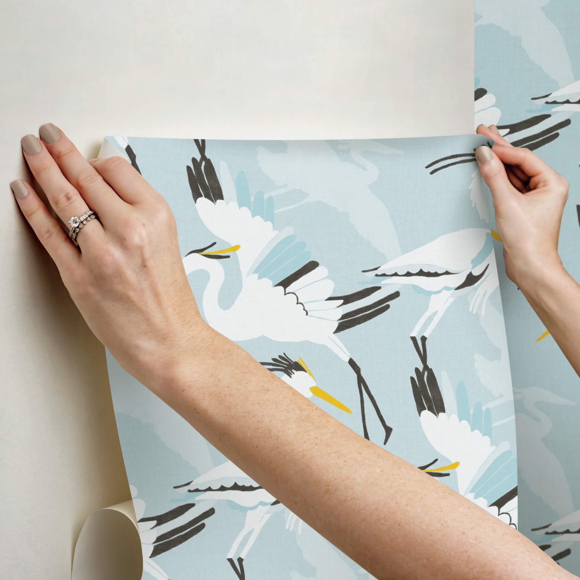 coastal-wings-blue-peel-and-stick-wallpaper-york-wallcoverings-nus6501 - York Wallcoverings Wallpaper