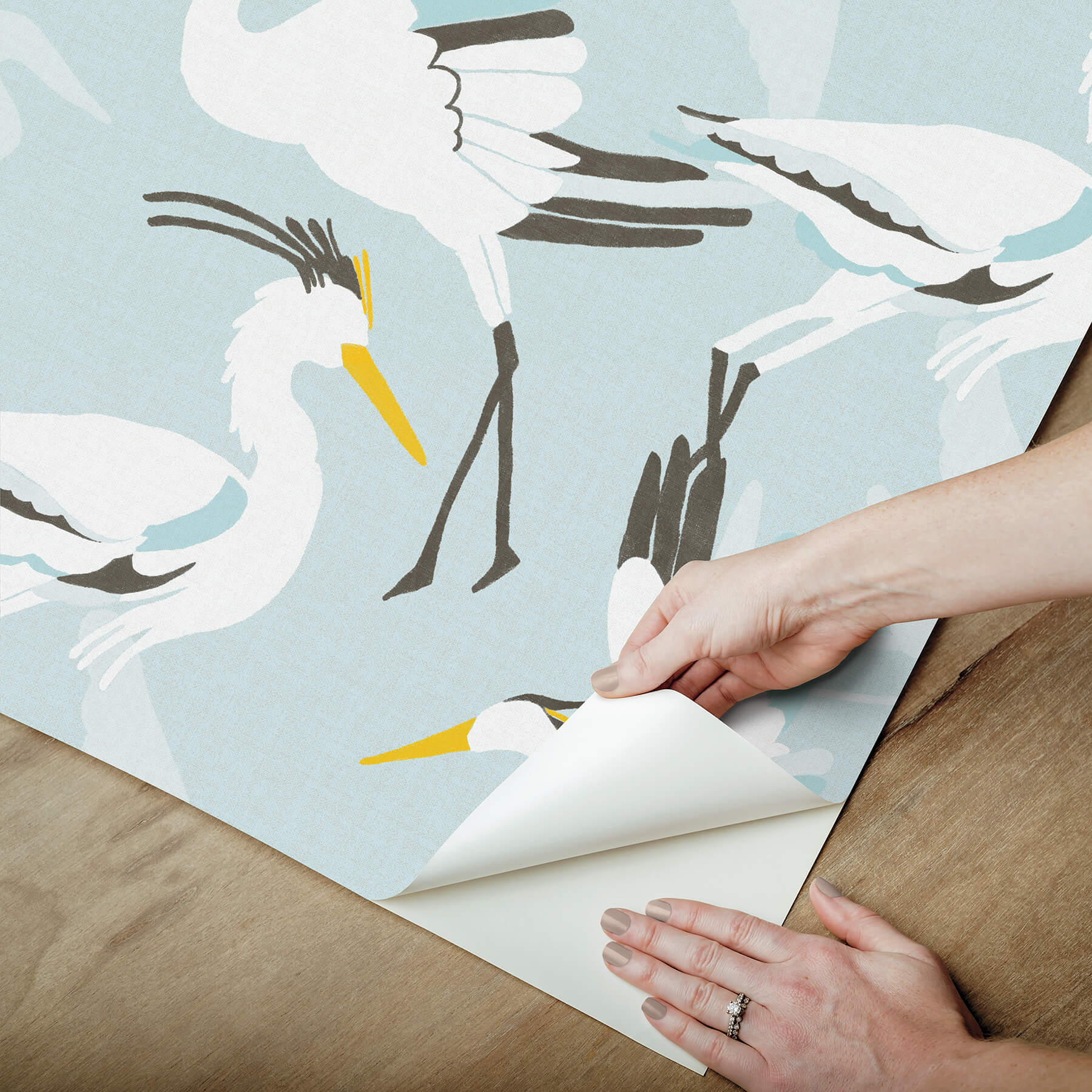 coastal-wings-blue-peel-and-stick-wallpaper-york-wallcoverings-nus6501 - York Wallcoverings Wallpaper