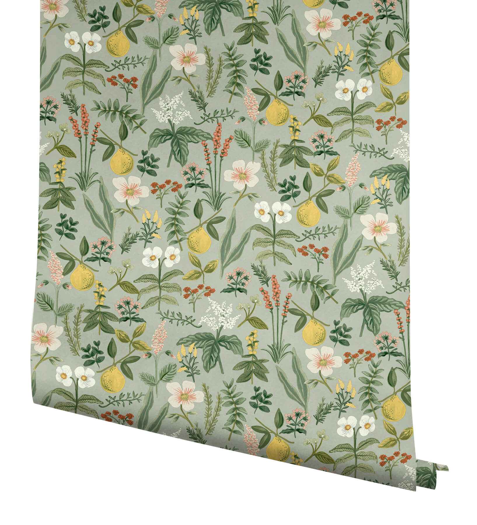 Herb Garden Sage Botanical Premium Peel + Stick Wallpaper - York Wallcoverings - PSW1675RL - York Wallcoverings Wallpaper