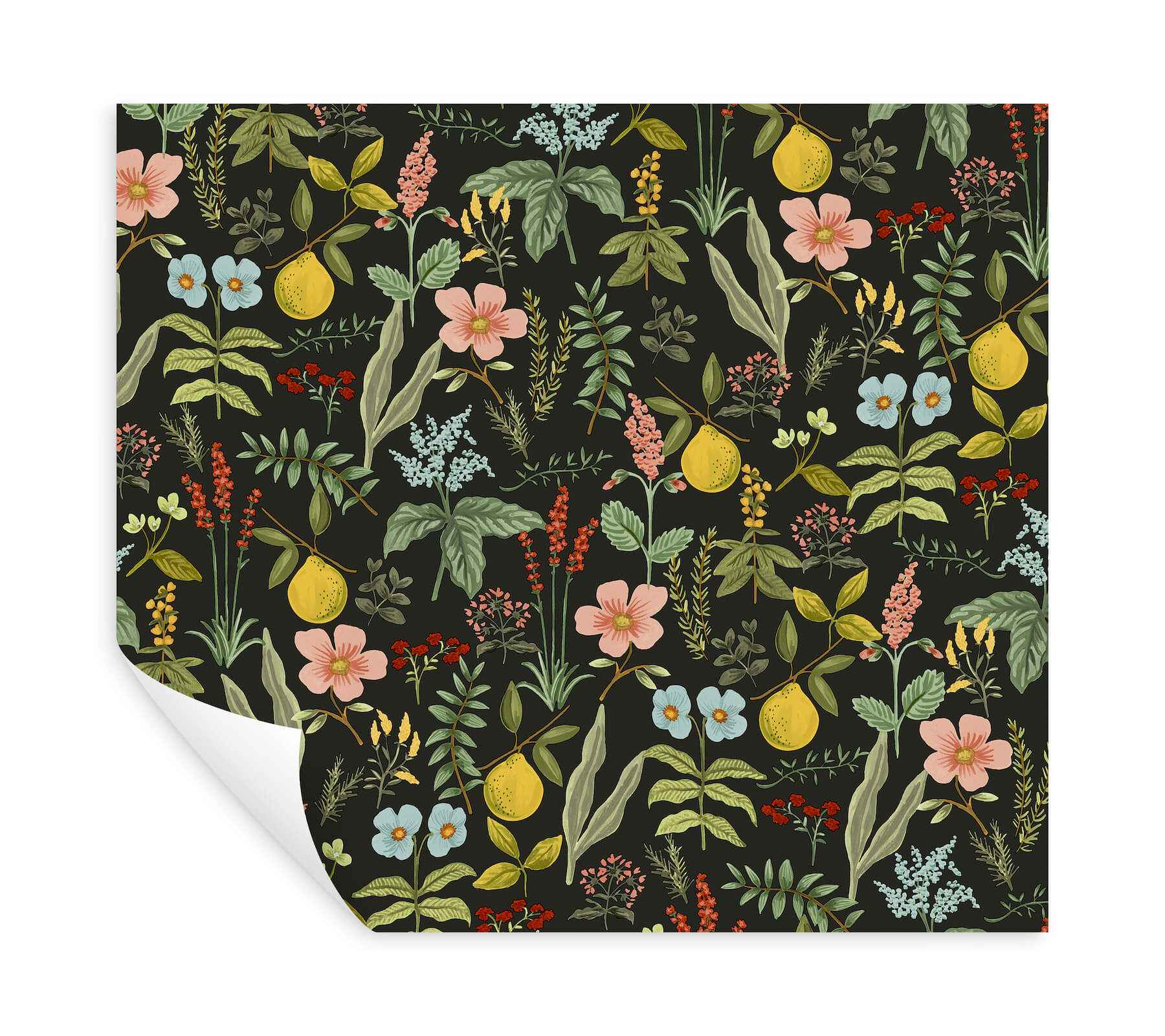 Herb Garden Black Botanical Premium Peel + Stick Wallpaper - York Wallcoverings - PSW1676RL - York Wallcoverings Wallpaper
